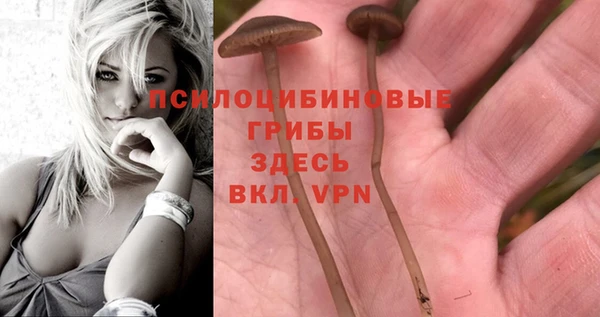 ПСИЛОЦИБИНОВЫЕ ГРИБЫ Алексин