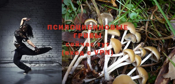 прущие грибы Алзамай
