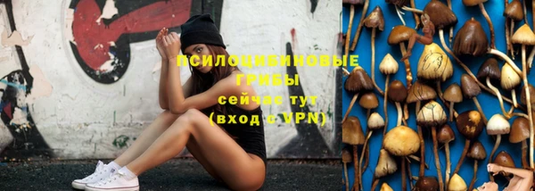 индика Кинешма