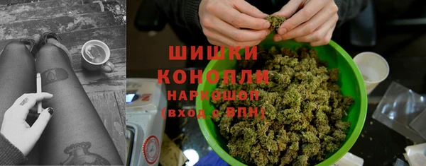 прущие грибы Алзамай